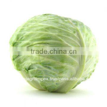 Fresh Cabbage Supplier in India