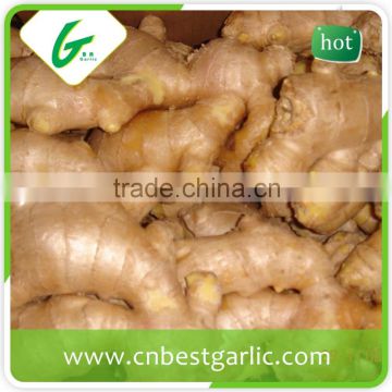 Air dry fresh ginger