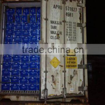 FRESH GINGER WITH PVC BOXES FOR MIDDLE EAST MARKET photo-6