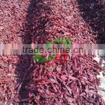 2015 Dry Clean Pressed Bag Paprika Pod photo-2