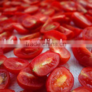 Hot Sun Dried Tomatoes for importers /Best quality/ competitive price