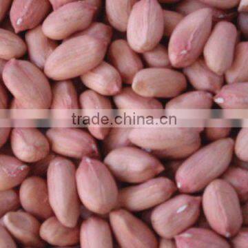 Selected Peanuts