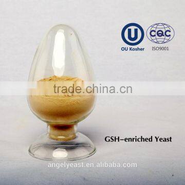 Glutathione enriched Yeast
