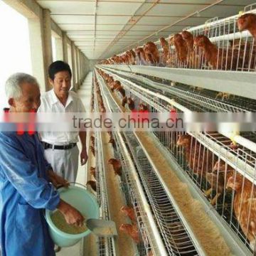 Poultry Farm Equipment/Used Chicken Cages For Sale In China