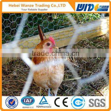 Galvanized hexagonal wire mesh & hexagonal wire netting & chicken wire