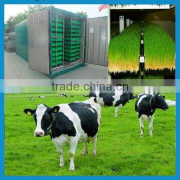 1000kg 500kg barley sprouting machine for rabbits cow sheep grass growing