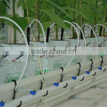 Used Greenhouse Commercial Hydroponics Greenhouses