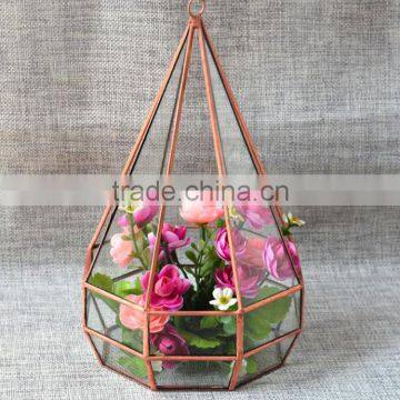 Indoor Plant Glass Terrarium Micro Landscape Glass Greenhouse photo-3