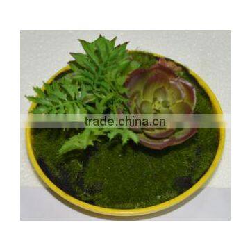 SJ3001011 Indoor Mini Bonsai Cactus Plant Artificial photo-2