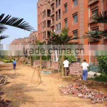 Artificial Palm Tree for Decoration China Fake Garden Fiberglass Tree Decor photo-3