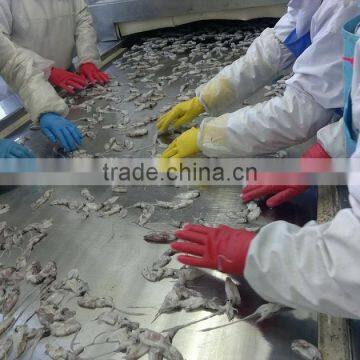 IQF China Yellow Sea Baby Squid photo-2