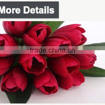 Colorful Wholesale Cheap Tulip Flower for Decoration photo-6