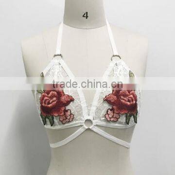 2017 Ladies Latest Design With Lace Bra photo-5