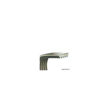 Sell Ribbed Belt