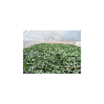 HDPE GREENHOUSE FILM