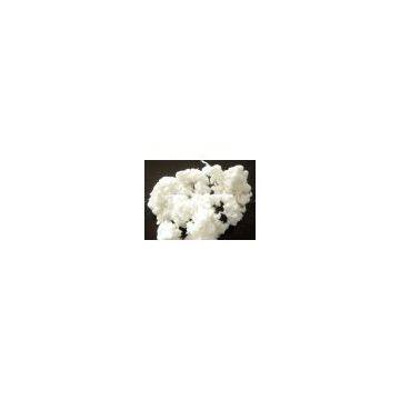 cotton linter pulp /refined cotton