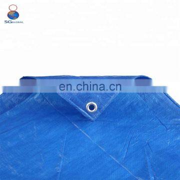 Wholesale Heavy Duty Blue pe Plastic China Tarps photo-2