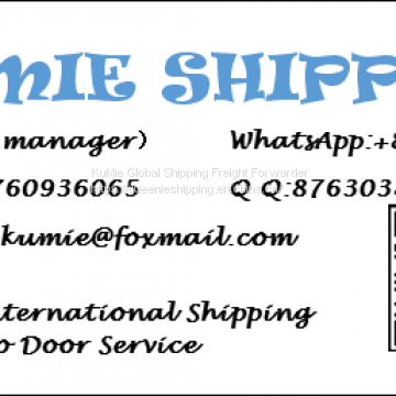 China to Singapore shipping service/Door to door