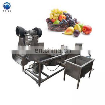 Lychee Cherry Tomato Blueberry Washer Fruit Bubble Washing Machine Vegetable Cleaning Machine photo-2