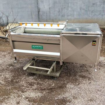 Fruit Vegetable Rinse Capacity Industrial Automatic