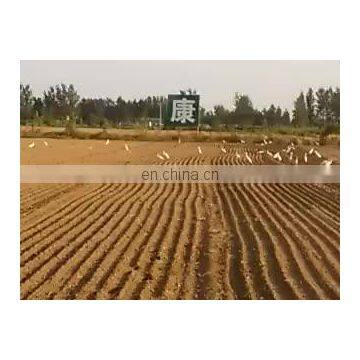 Trailed  vegetable seeder