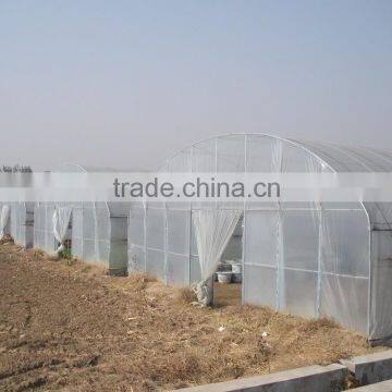 Plastic Film Solar Tunnel Greenhouse