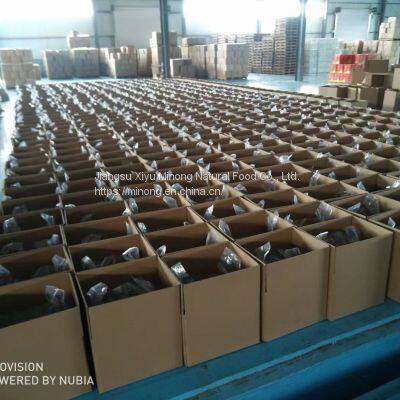 Walnut Kernel With Out Shell photo-3