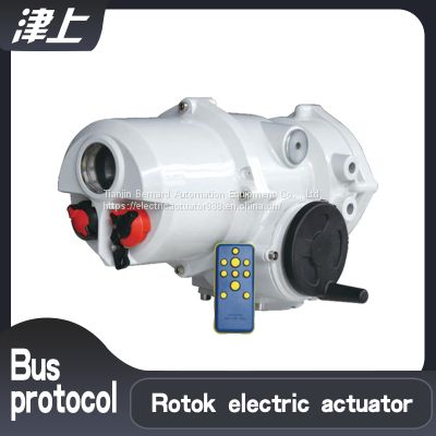 Angular stroke electric actuator   IT50  Intelligent integrated electric actuator