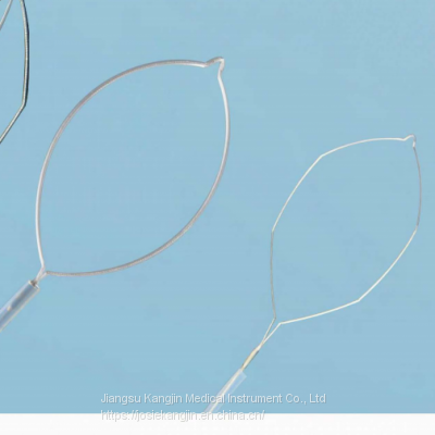 CE&ISO Disposable Endoscopy Polypectomy Snare for Removal of Polyps