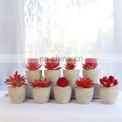 New Arrival Artificial Bonsai Plastic Mini Potted Set Custom Flower Pots And Planters Small Artificial Succulents Plants Potted