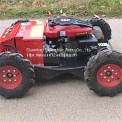 Customized Remote control mower of hills from China