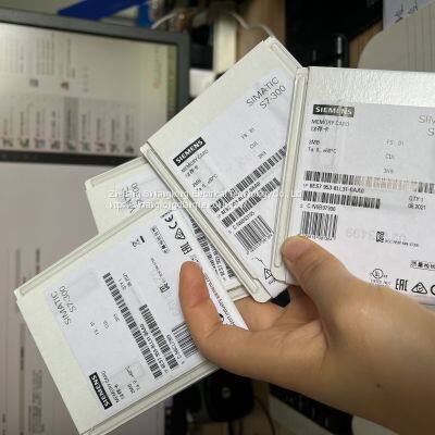 6ES7953-8LL31-0AA0 SIMATIC S7 Mini Memory Card 2MB RAM photo-3