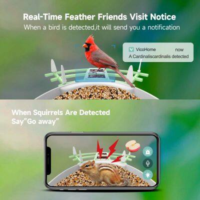 2.0MP HD AI Identifying Solar Powered Outdoor Smart Bird Feeder Waterproof IP65 4G Night Vision Smart Camera Alarm SD Card photo-3