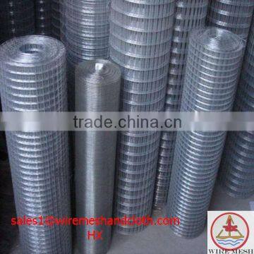 hot dipped galvanized welded wire mesh/building materials