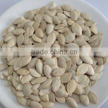 Chinese vegetable seeds, Snow white pumpkin seed in shell