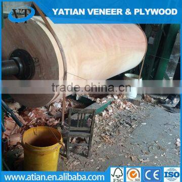 0.2-1.0mm clean veneer plywood sheet okoume veneer factory