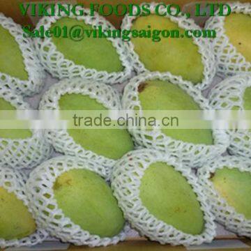FRESH VIET NAM MANGO HIGHT QUALITY, GOOD PRICE photo-5