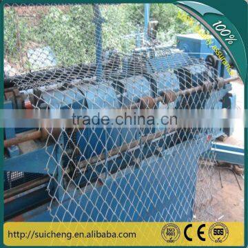 Galvanized Chain Link Mesh /Hot dip Galvanized Chain Link Fence (Guangzhou Factory)