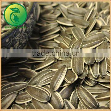Sunflower Seeds Chinese Vegetable Seeds photo-3