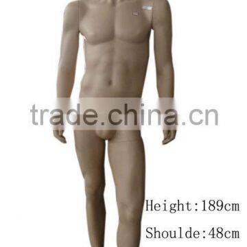 Male mannequin