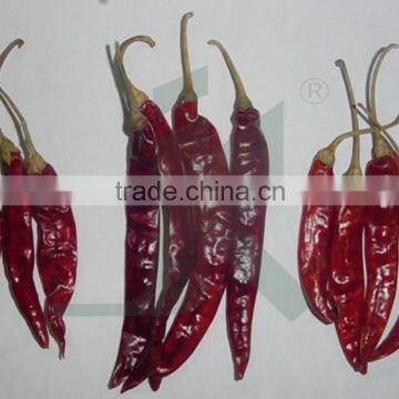 CAPSICUM ANNUM