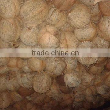 Andara Coconuts photo-2