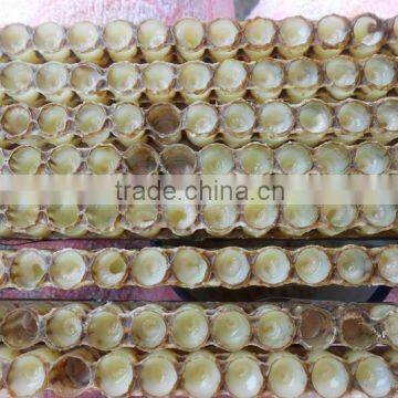 Lyophisized Royal Jelly Powder photo-6