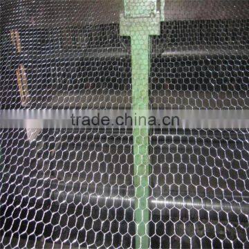 whosales galvanized hexagonal wire mesh with CE certificate