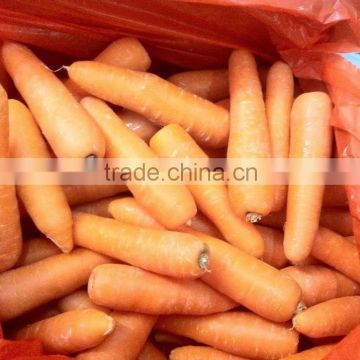 Fresh Carrots