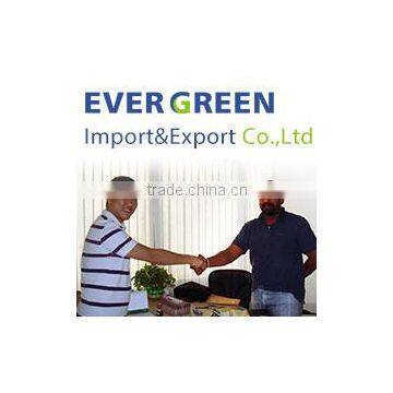 Foshan Evergreen Import & Export Co., Ltd.