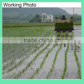 Rice Transplanter Machine Price