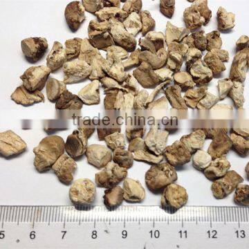 Wholesales High Quality Dried Shiitake Mushroom Leg