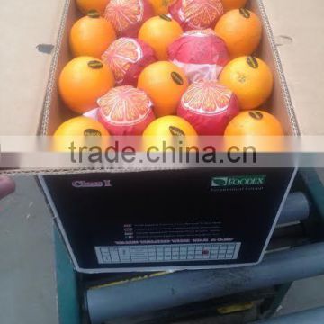 sell egypt navel orange