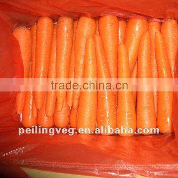 Xiamen fresh carrot (new corp)